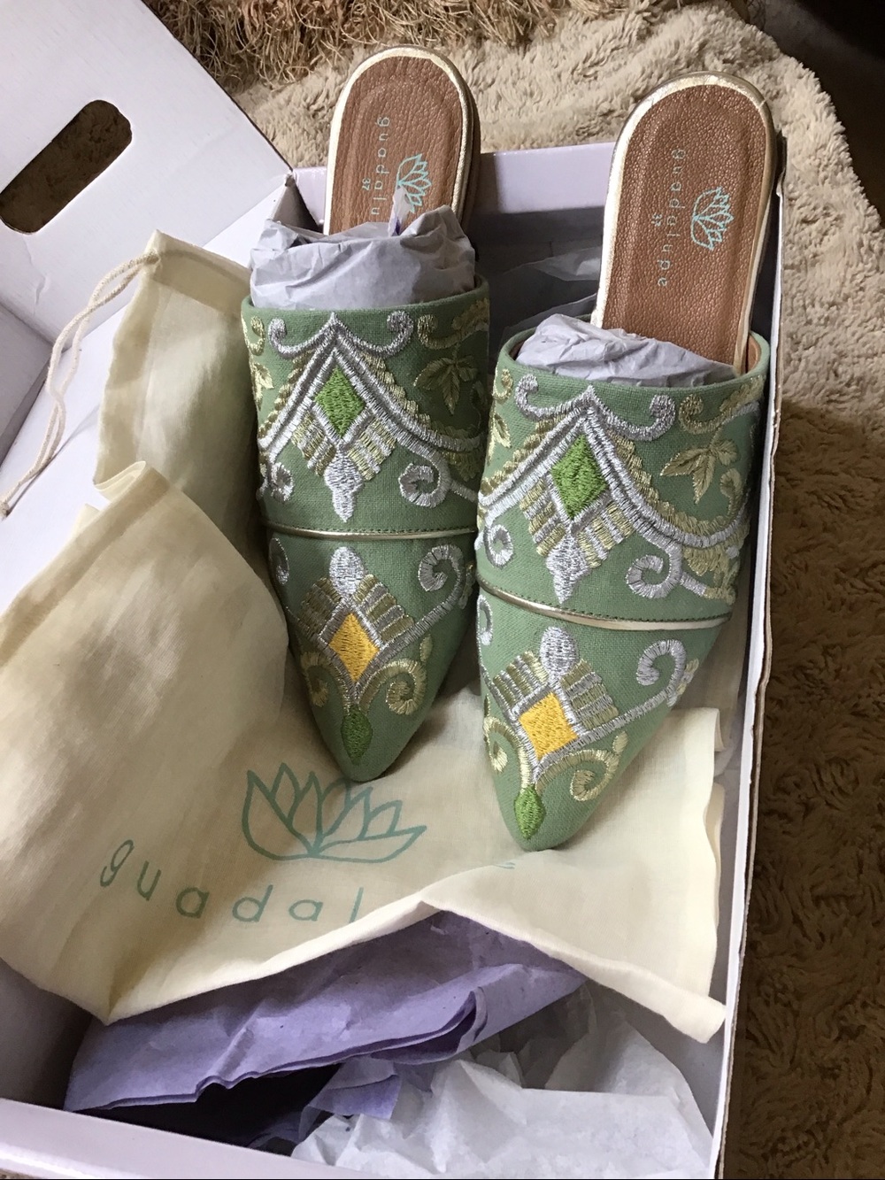 Guadalupe Embroidered Pointed Slip-On Mules in Sage Green